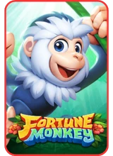 fortune-monkey